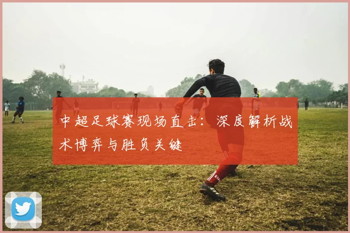 中超足球赛现场直击：深度解析战术博弈与胜负关键